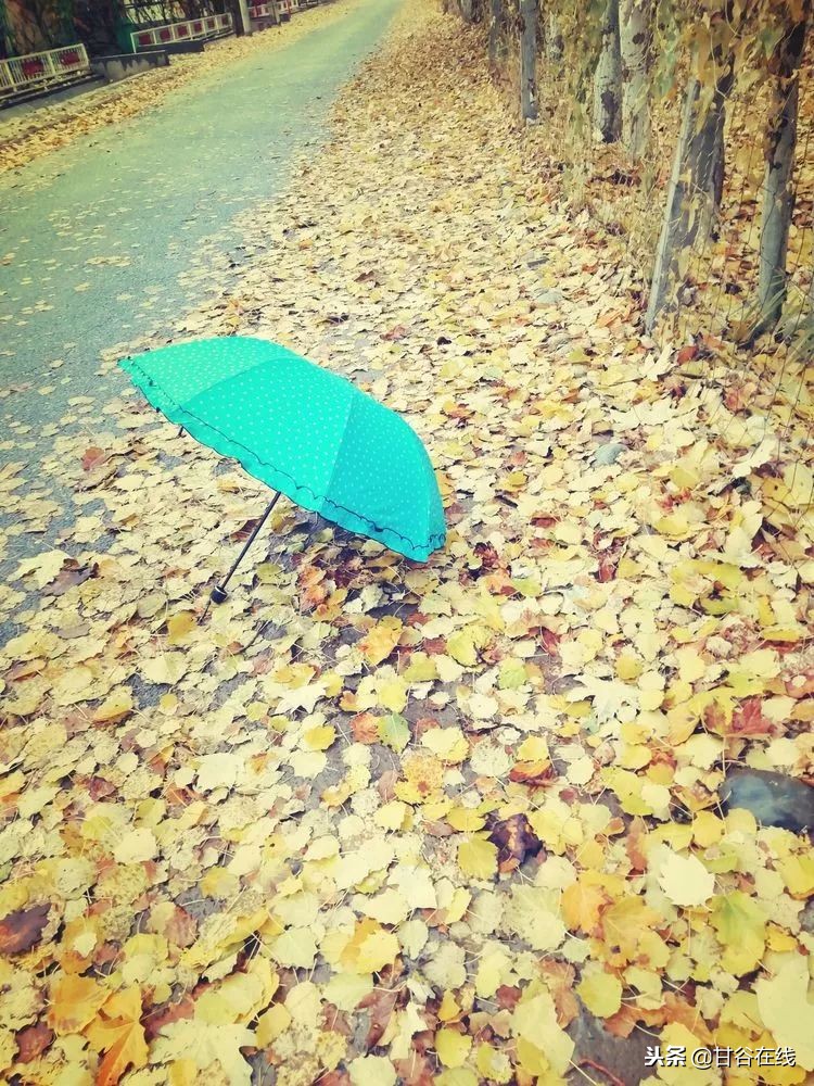 鍦ㄦ柊鐤嗙殑鐢樿們濂冲鏀暀,鏂扮枂鍜岀敯鏀暀鑰佸笀