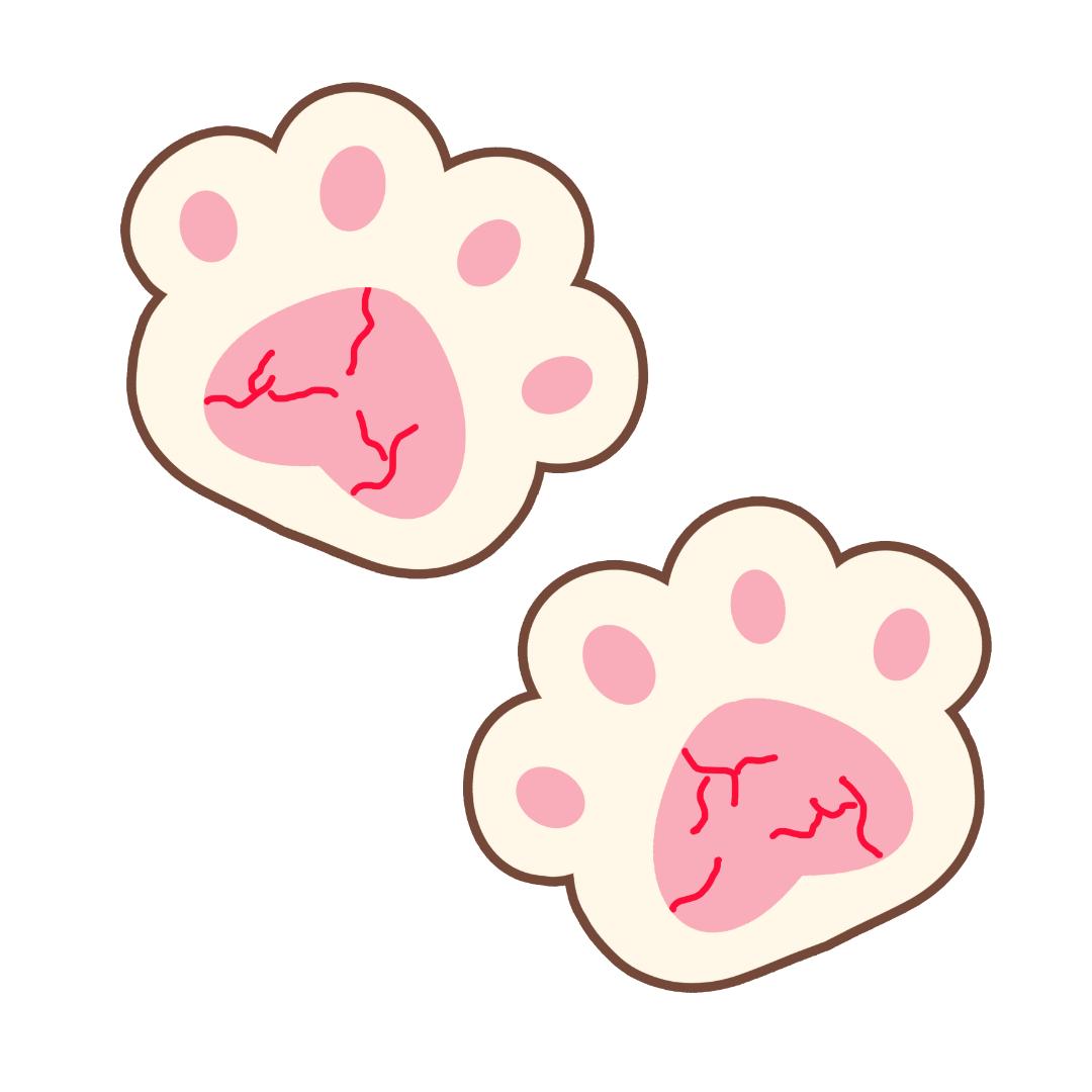 猫咪爪子剪裂开了怎么办,猫咪爪子指甲中间开裂