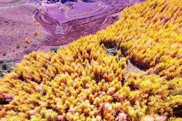 秋天最美地方,秋天全部的风景