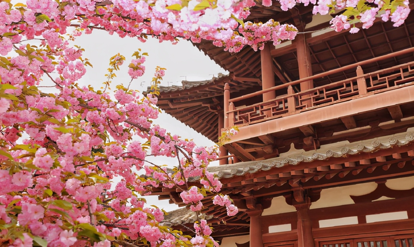 西安大雁塔值得玩么,西安五天四夜旅游攻略大雁塔