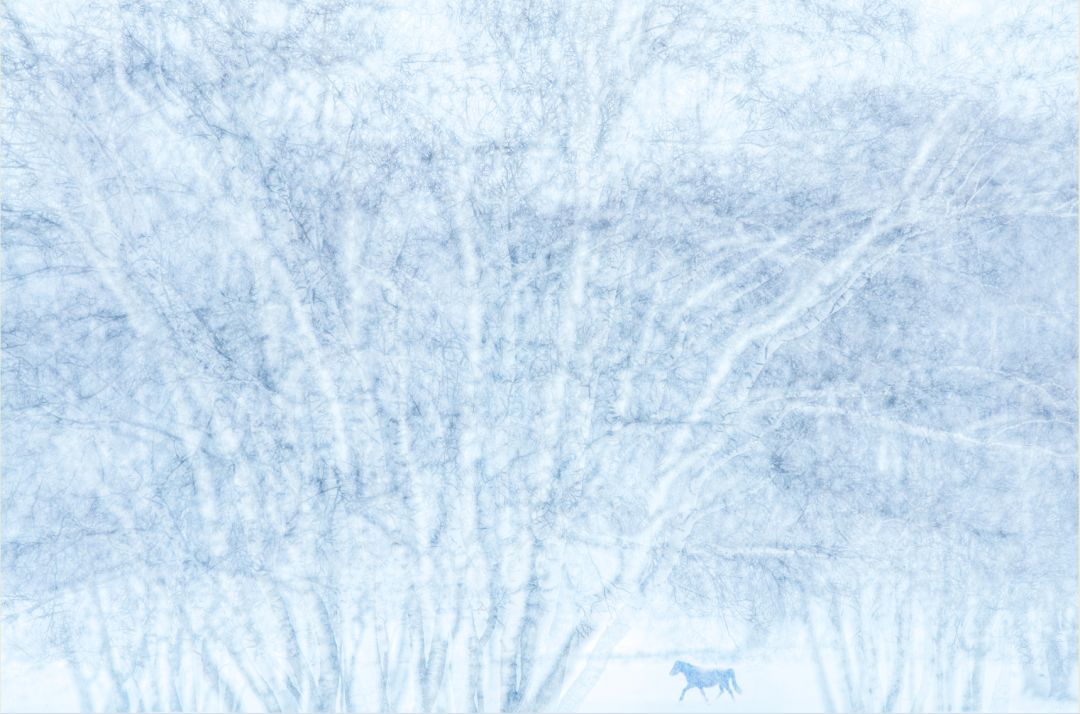 香港第14届全国摄影艺术展,第29届全国摄影艺术展览获奖名单