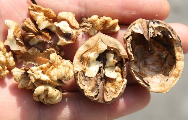 女生打不开的4种“水果”，椰子排不上第一，给你剥图三的是真爱