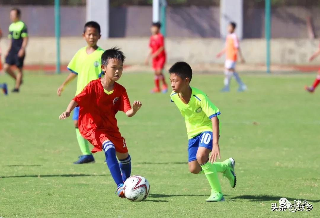 区中小学足球联赛,体教融合杯中学篮球赛