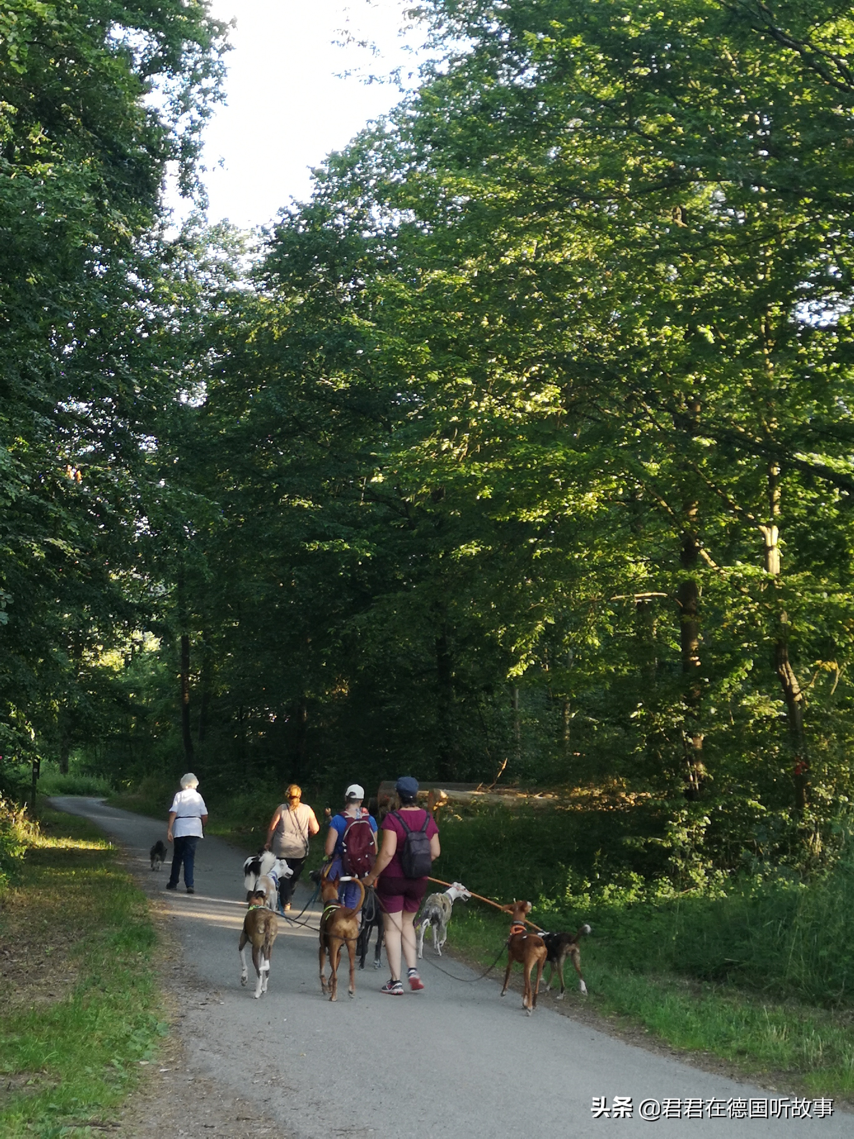 和德国人谈恋爱是什么感觉,已婚期间跟别人谈恋爱