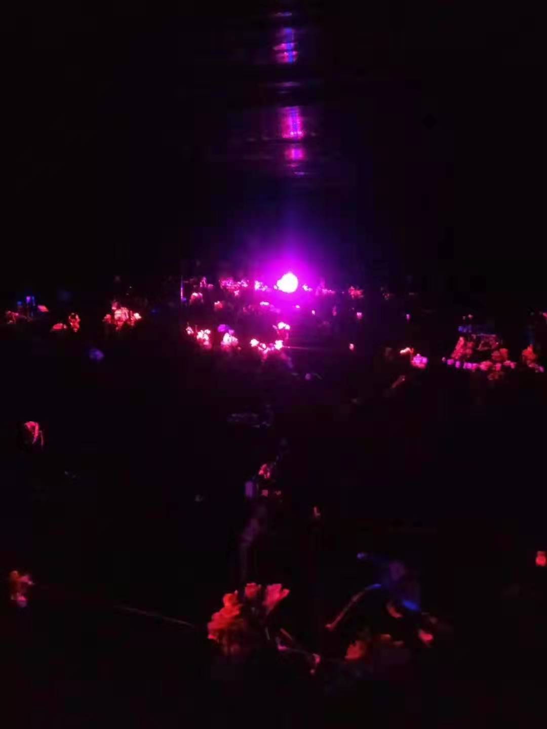 葡萄园套种火龙果,种了两棚火龙果一年收入11万