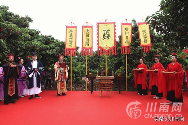 又是一年荔枝红全诗,又是一年一度荔枝成熟的季节