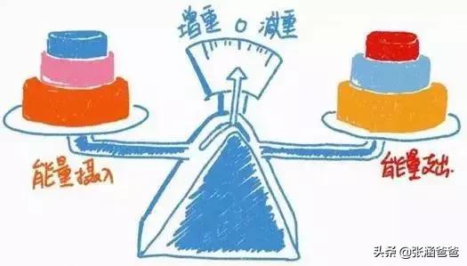 日本汉方酵素减肥丸,减肥酵素燃脂丸