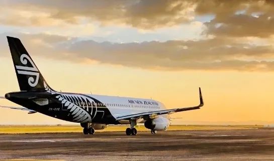 新西兰疫情过后的感受,新西兰疫情开始了吗