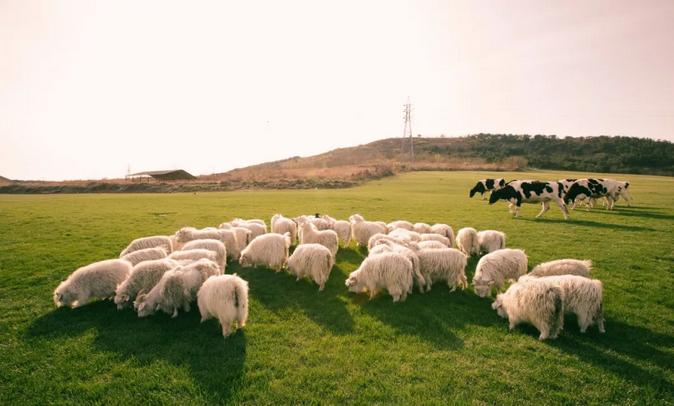 2023年三寰牧场最新攻略,三寰牧场攻略最新