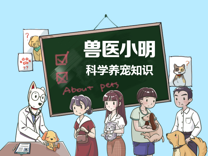 朋友是个老烟枪，却养了只橘猫，猫主子被迫吸二手烟有危害吗？