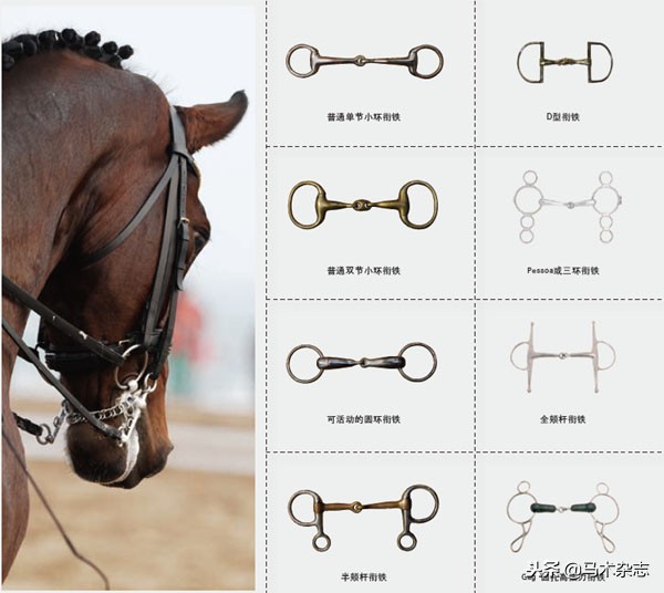 充满智慧的衔铁！马身上的装备越少，说明骑手的骑术越高