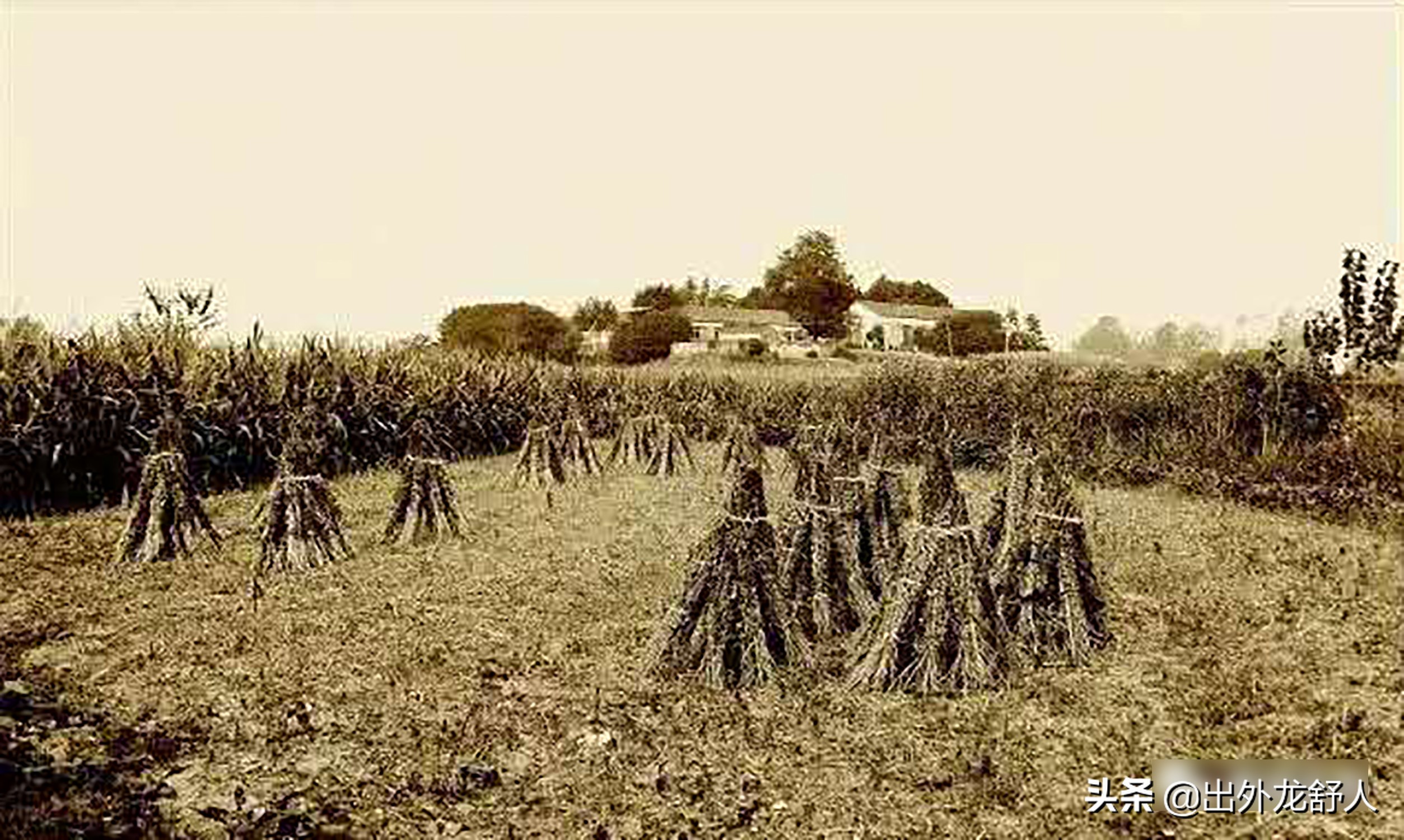 巢湖柘皋老街网红,合肥巢湖柘皋古镇北闸老街