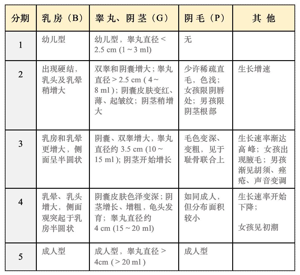 青春期性心理发展的阶段,青春发育敏感期