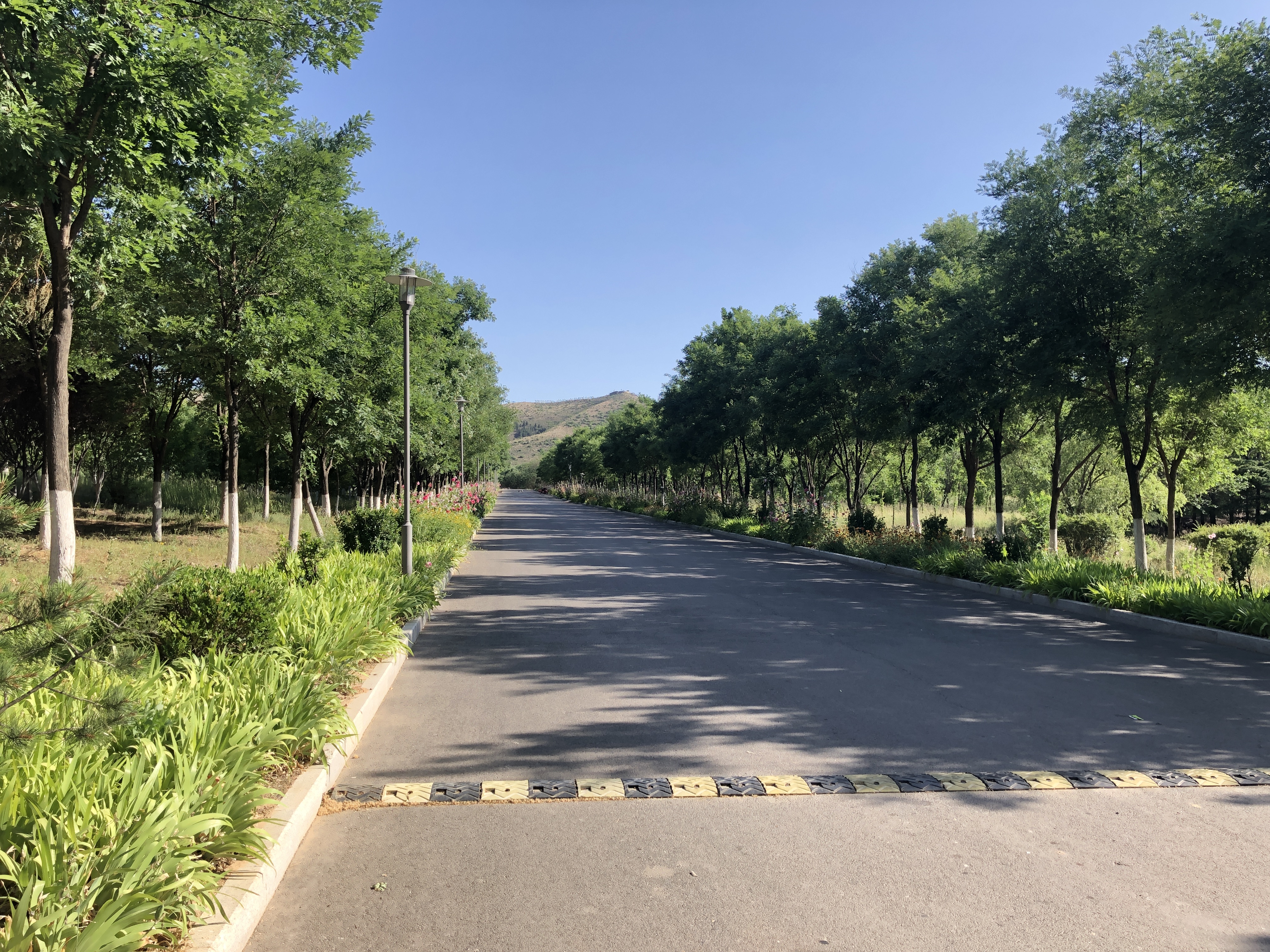 长清区山东师范大学新校区,长清山东师范大学位置