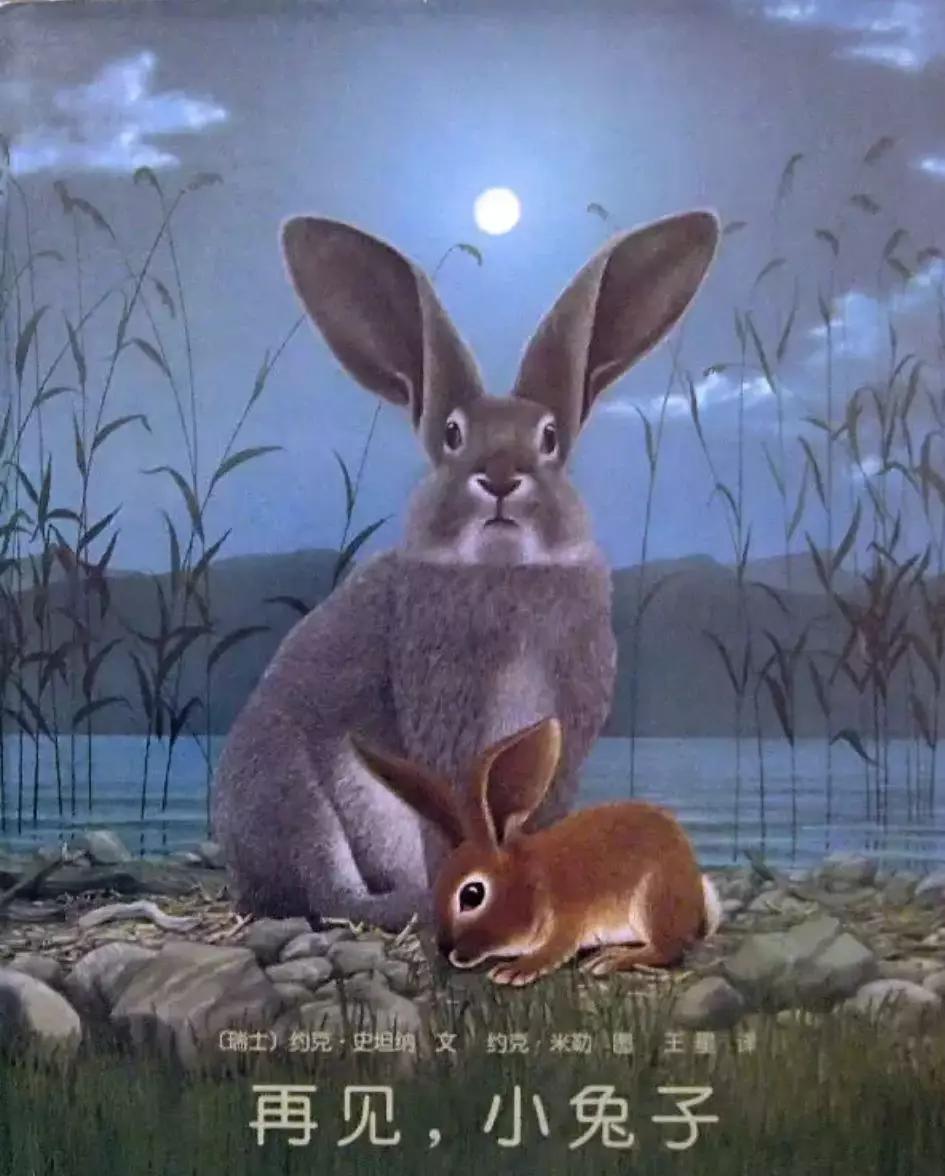 了解经典绘本背后真正的价值,那些不知道的梗