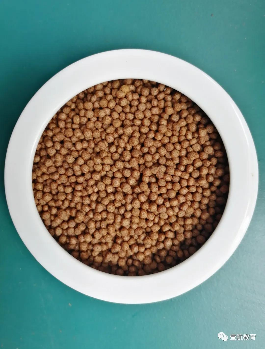 苹果螺怎么养着养着就只剩下壳了,苹果螺怎么保持颜色