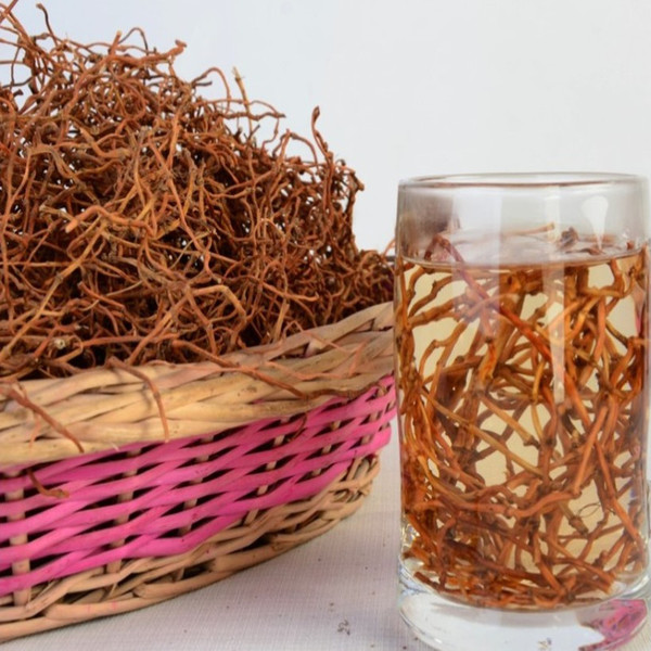 河南种植鱼腥草一亩利润与成本,四川种植鱼腥草一亩利润多少