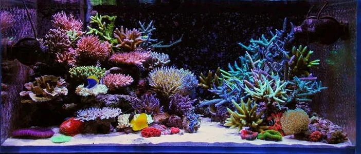 你真的已经准备好换一个更大的爱缸了吗？