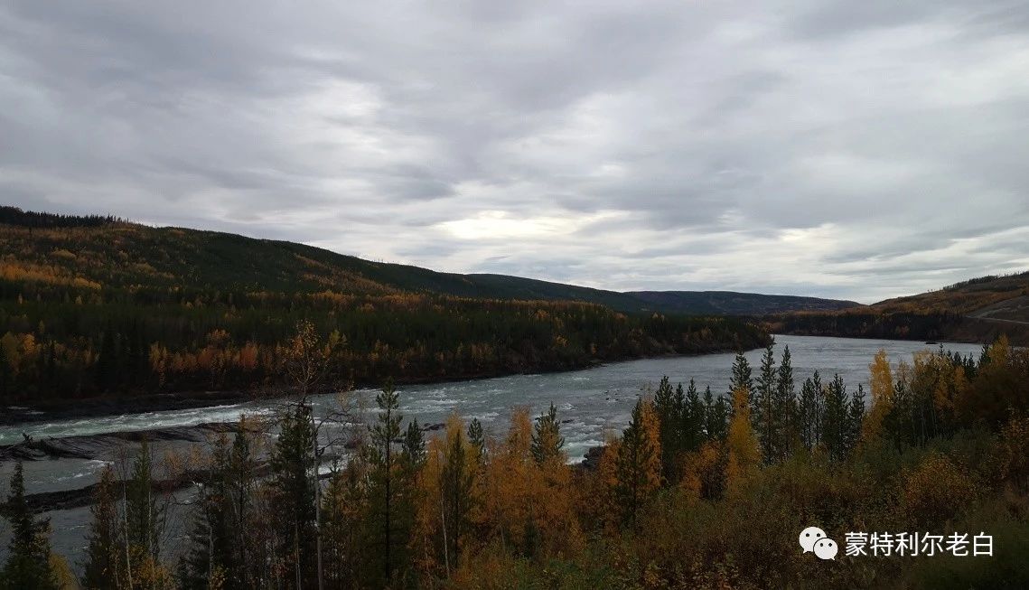 跟着老白行走加拿大，育空Watson Lake、BC省Northern Rockies