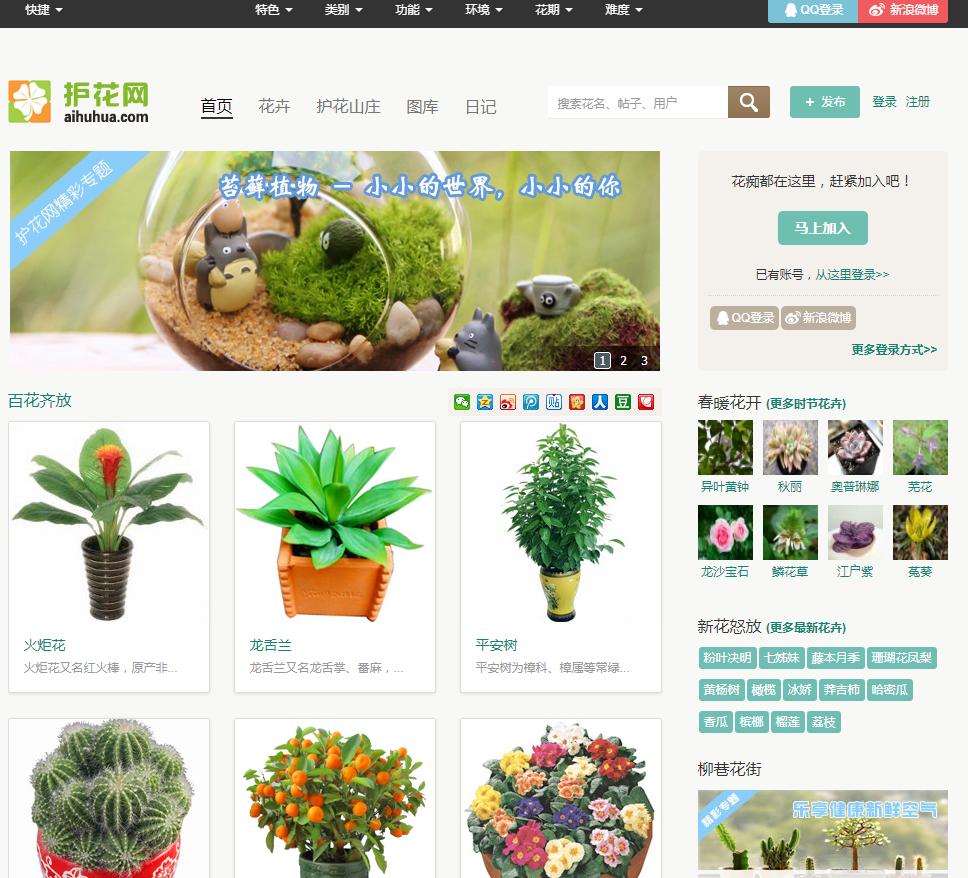 花儿为啥这样红,花儿为什么这样红科普小视频