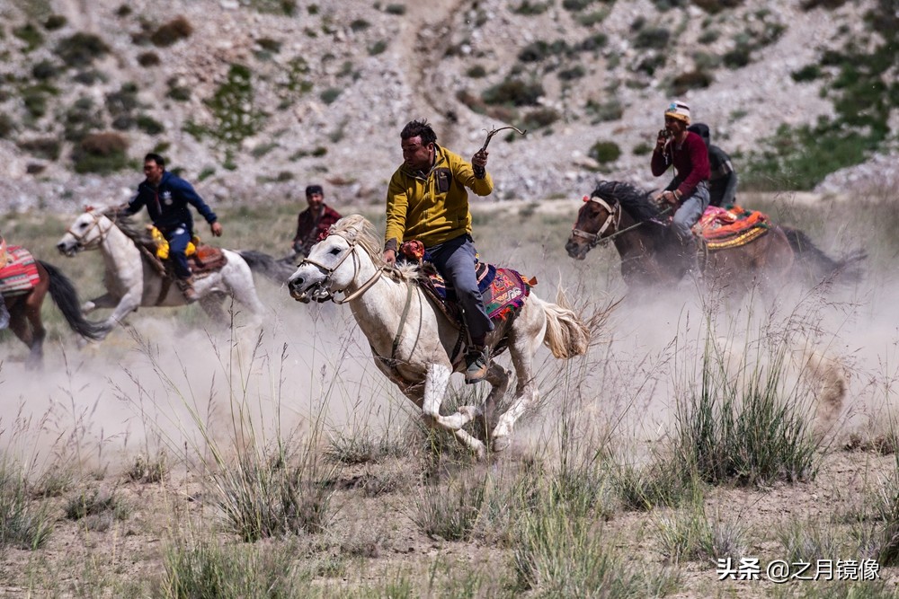 铁血雄鹰全剧,铁血雄鹰全文阅读