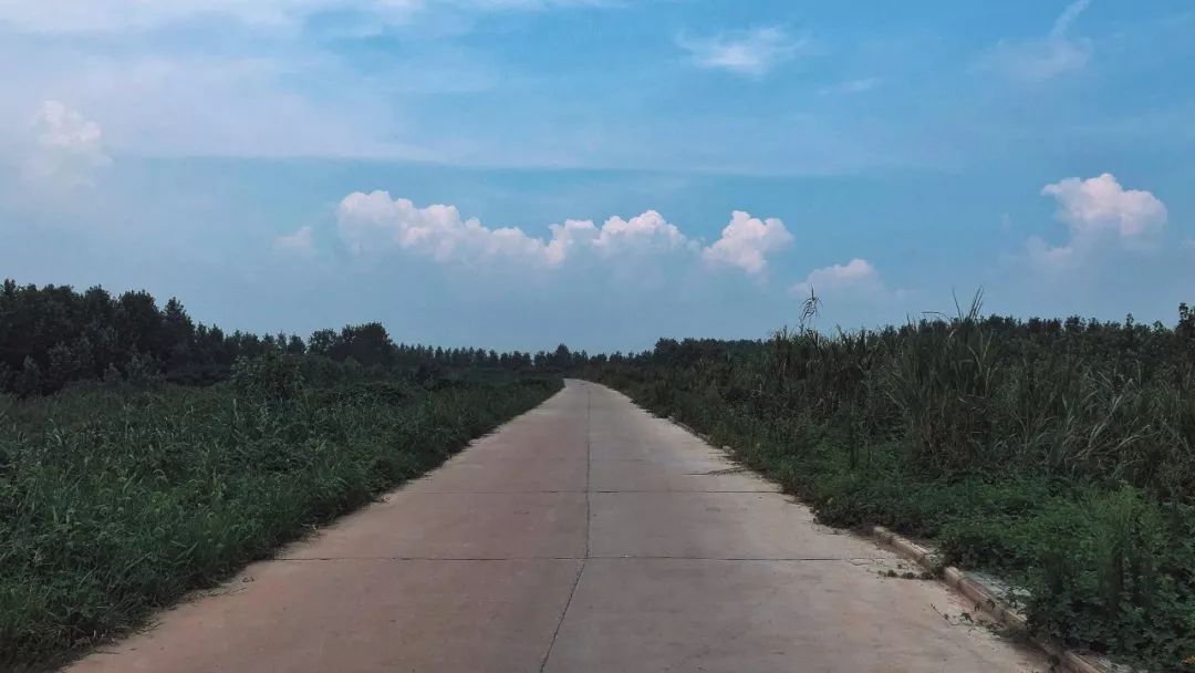 武汉是世界面积最大的一个市,武汉面积最大的小区