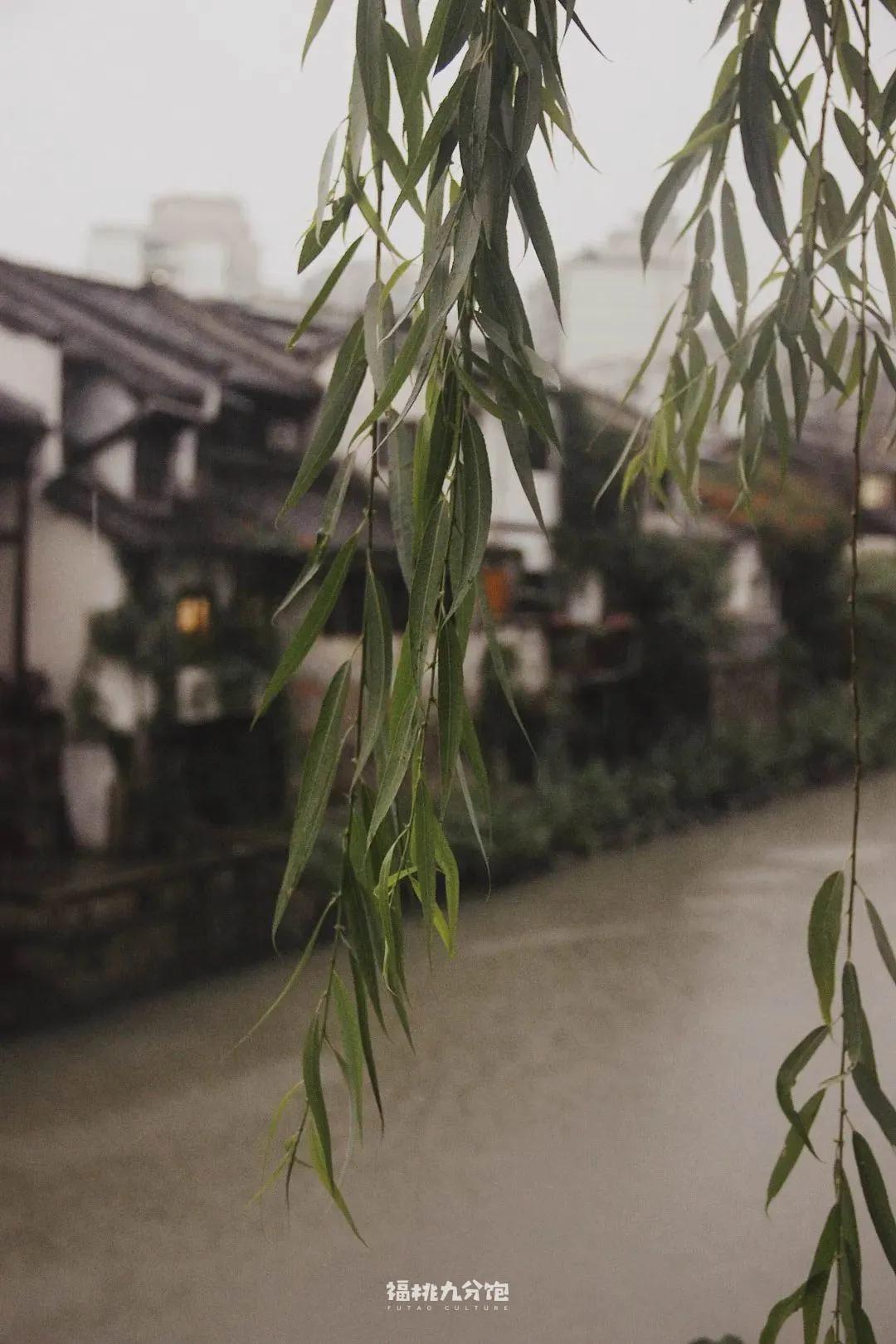 王宝强吃面道士下山,道士下山吃面图片