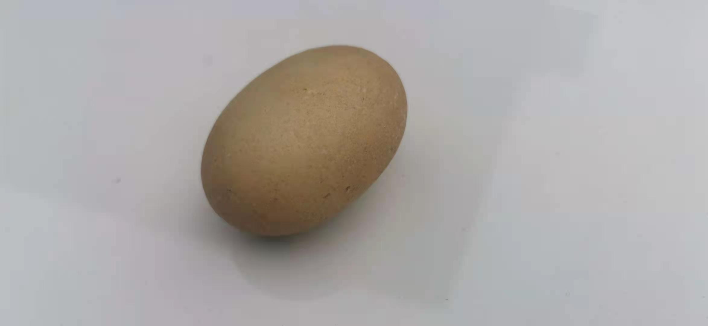 翳珀无事牌吊坠,纯天然钛晶无事牌吊坠