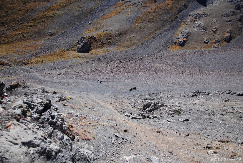 狼c调简谱教唱,狼c