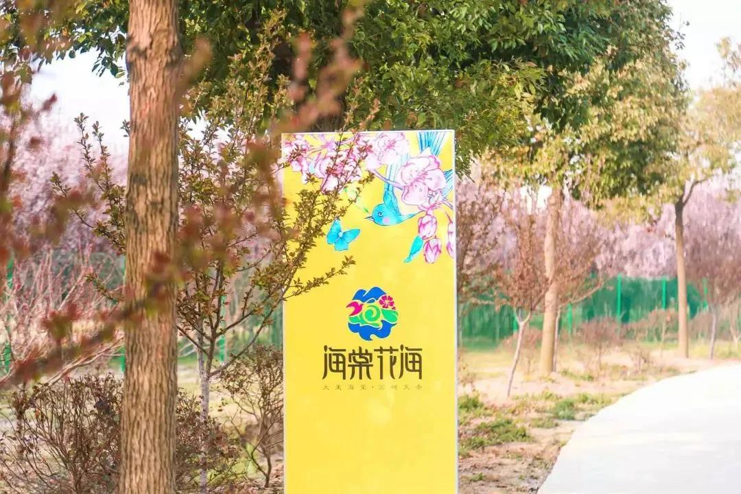 国庆节上海周边遛娃进阶攻略,国庆好玩的遛娃地方推荐