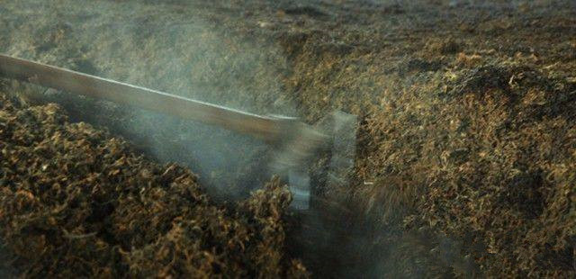 普洱茶熟茶压制方法是什么,普洱生茶紧压茶的正确打开方式