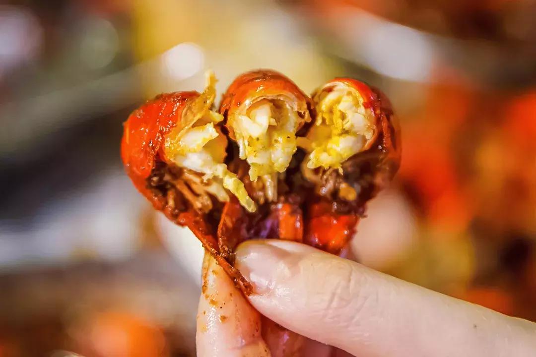 武汉好消息今日头条,湖北武汉好消息