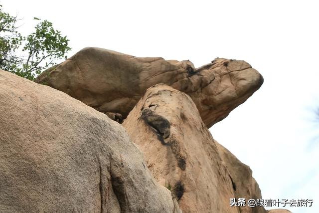 莒县各乡镇地图高清版大图,莒州网