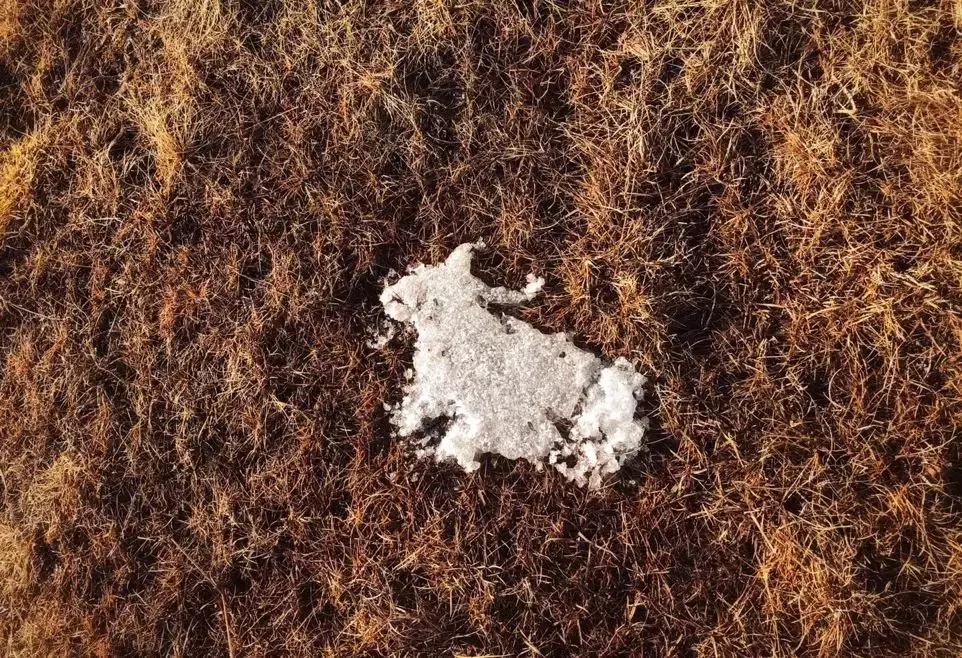 神秘的藏地精灵，米拉子子与米拉的故事