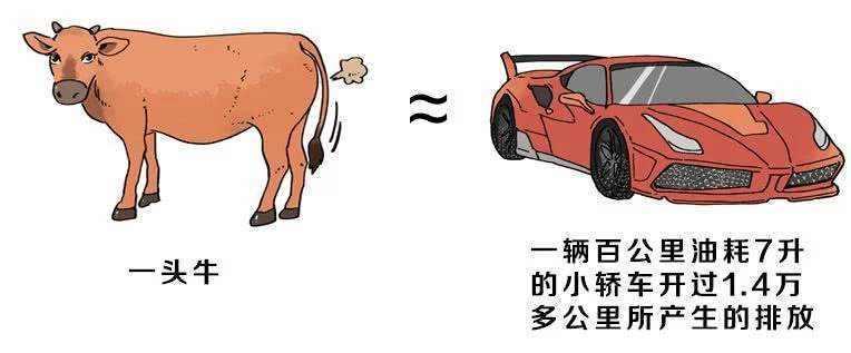 为什么牛背上会开洞,为什么会给牛身上打洞