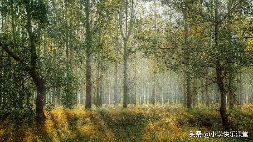 那一次我真半命题作文范文,那一次我真什么优秀作文