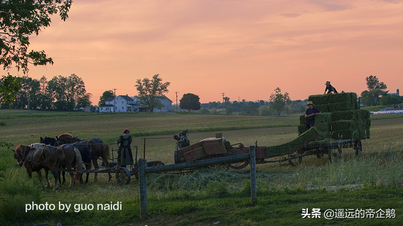 兰卡斯特宾夕法尼亚,兰卡斯特大学lancaster