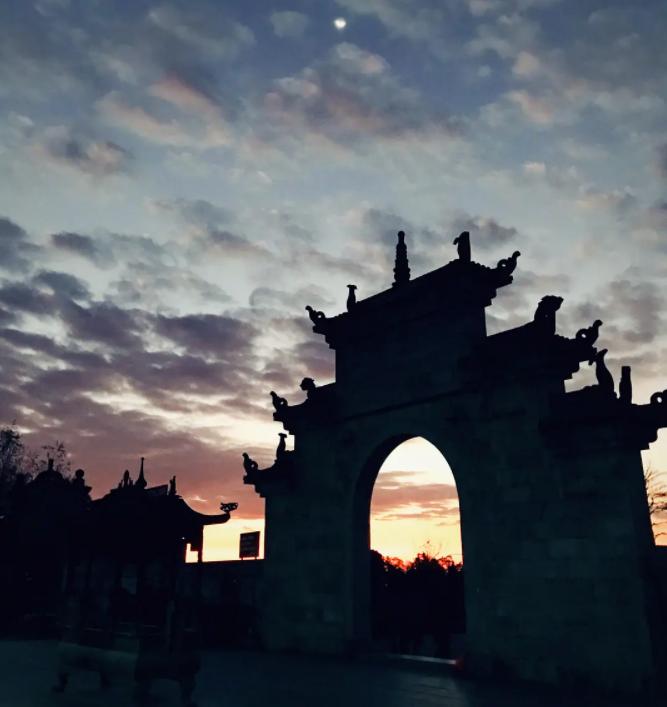 毛尖云雾绿茶哪款好喝,你们喝过最好喝的茶