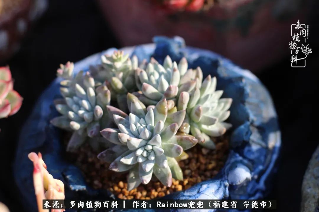 岁月无波澜余生不悲欢是啥意思,愿你岁月无波澜敬我余生无悲欢