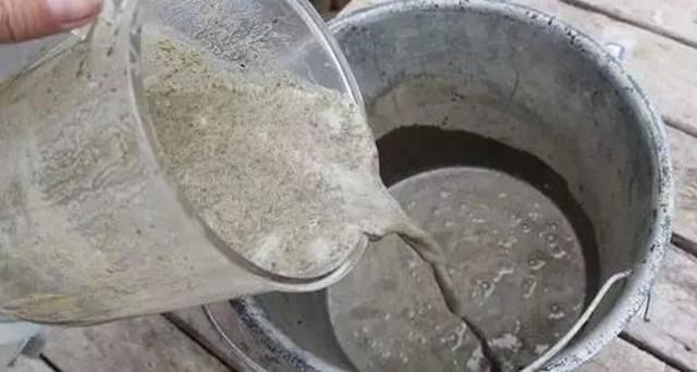 苔藓意境盆景,文人树盆景怎么养才能突出好看