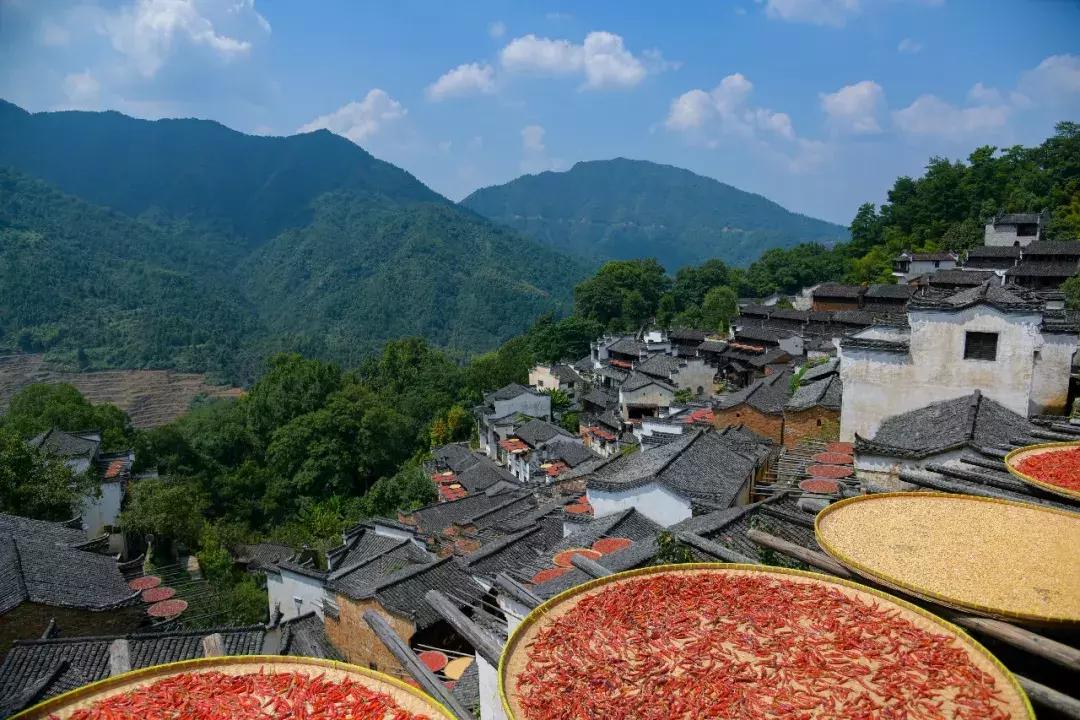 篁岭第八届晒秋节,篁岭丰收节