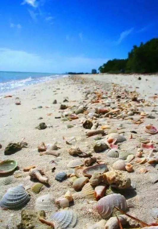 户外儿童帆板夏令营,夏令营水上乐园闯关