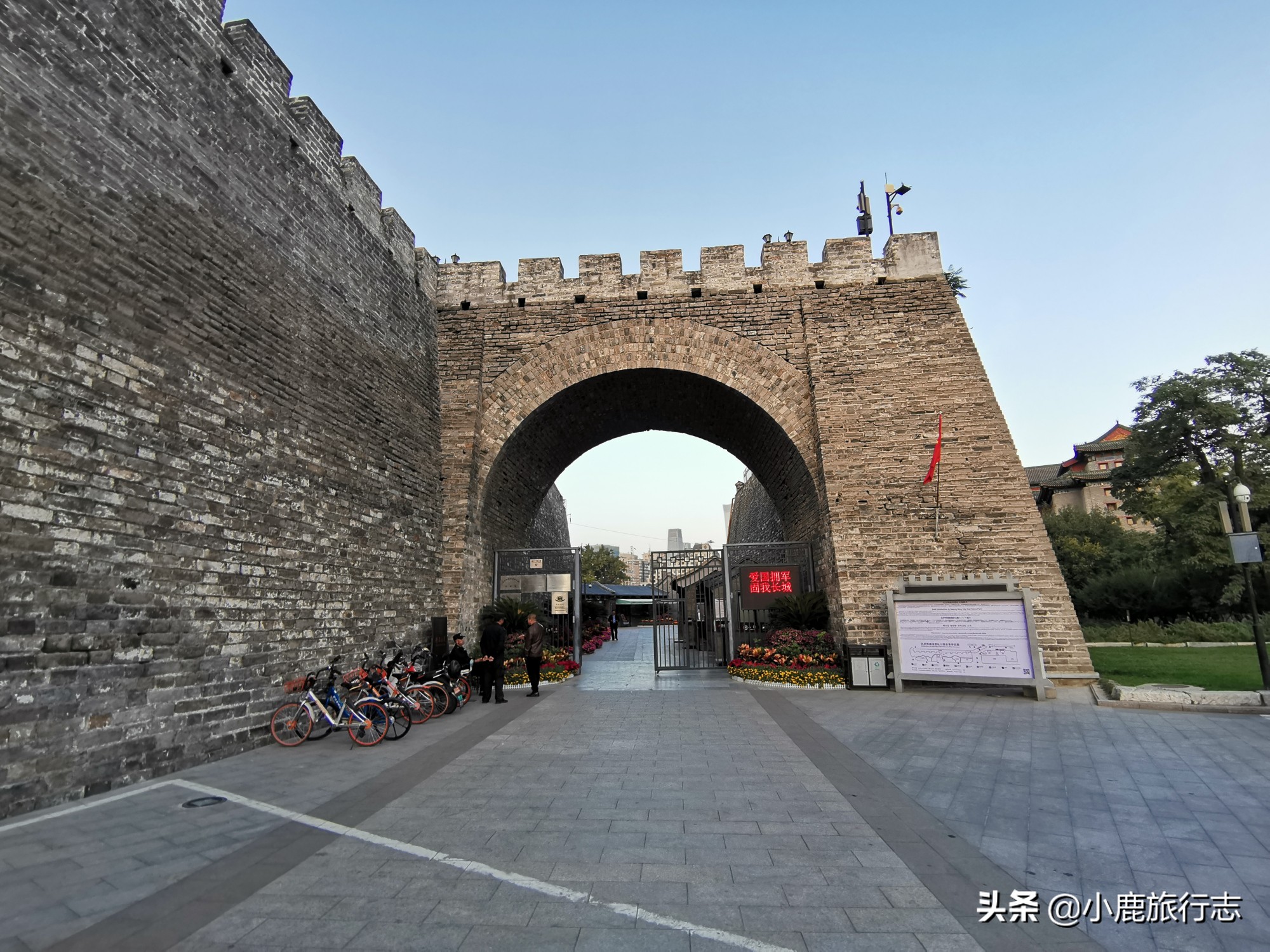 北京免费玩森林公园有哪些,北京森林公园一日游最佳攻略