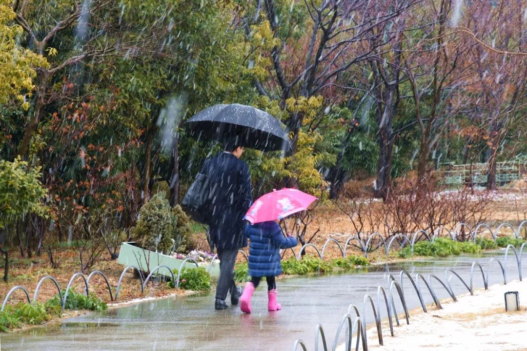 一封来自日本的信--日本社会和生活水平现状