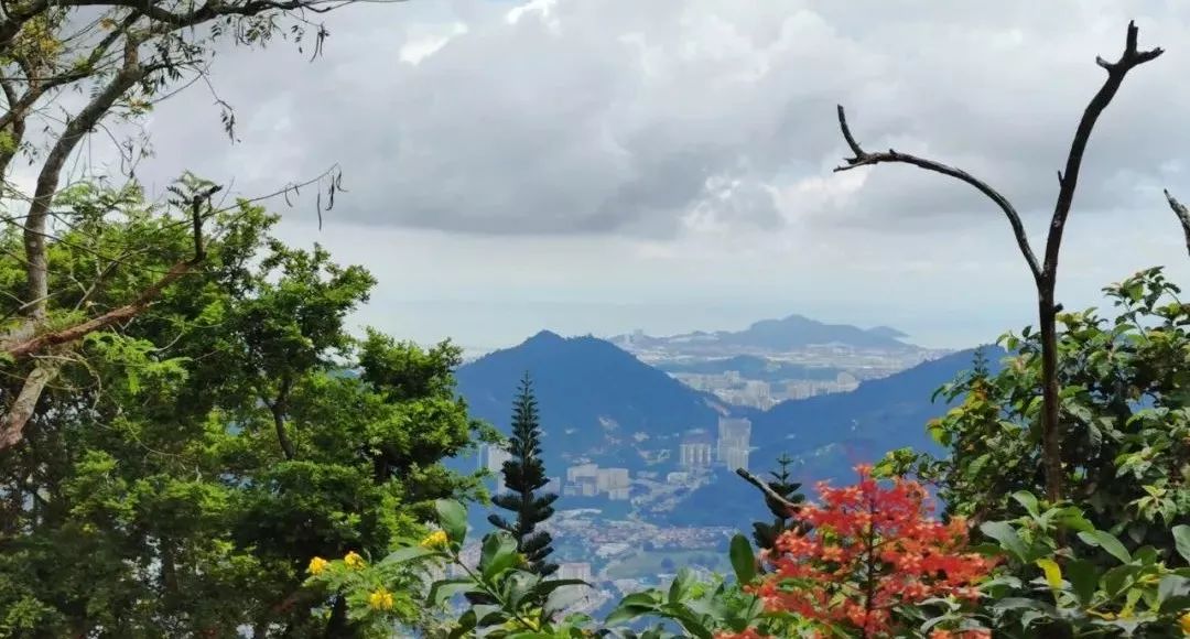 槟城慢时光完整视频,马来西亚值得看的经典建筑