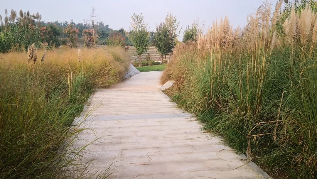 潏河到底怎么读,潏河如何读