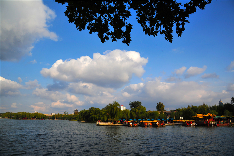 山东省11个5a级景区免费,山东景区排名前十名一日游