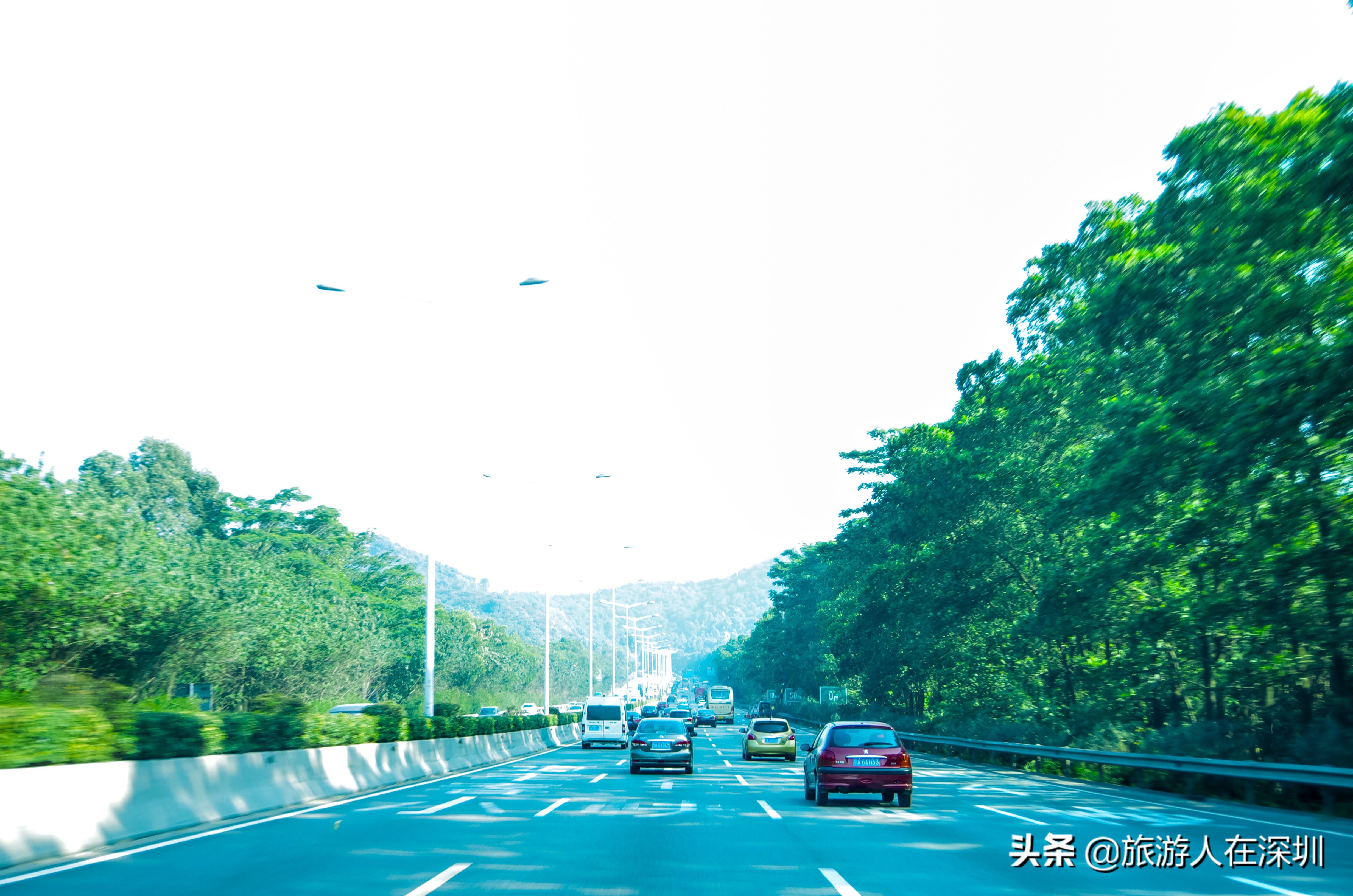 南雄看银杏一日游,去南雄看银杏叶哪里好看点