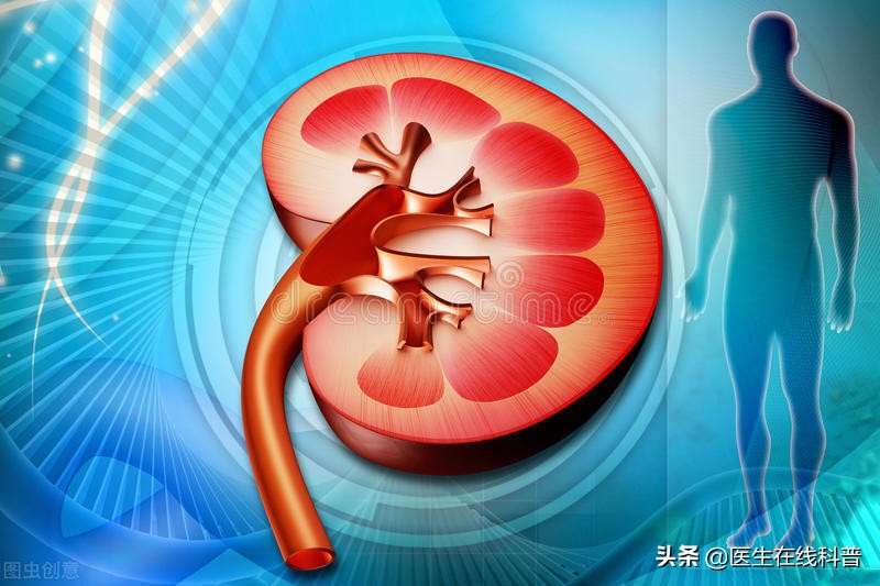 34岁高血压还能恢复正常吗,高血压肾病早期如何逆转治疗