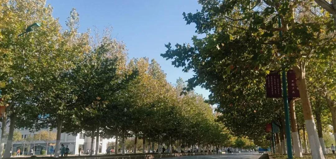 南开大学滨海学院天津排名,天津曾经的滨海学院